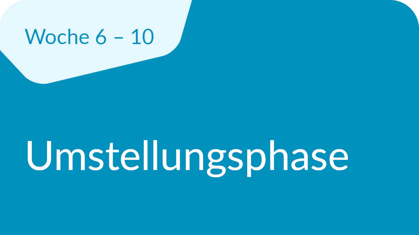 Umstellungsphase