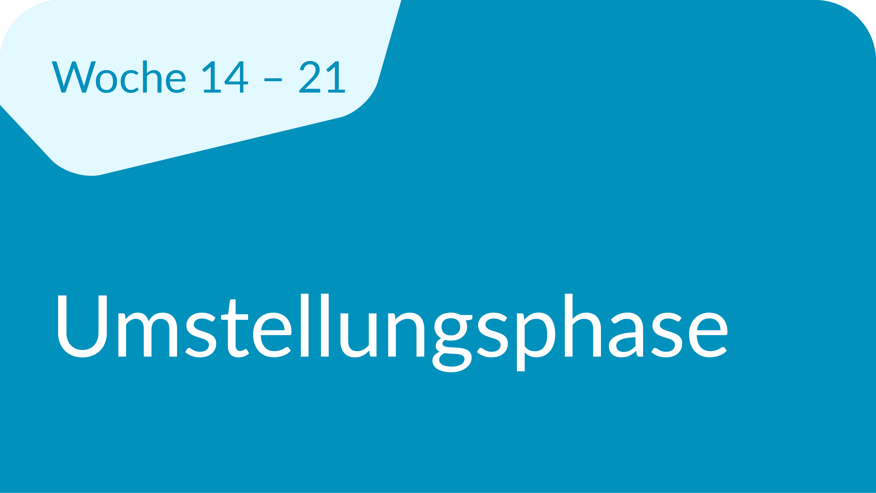 Umstellungsphase 14-21