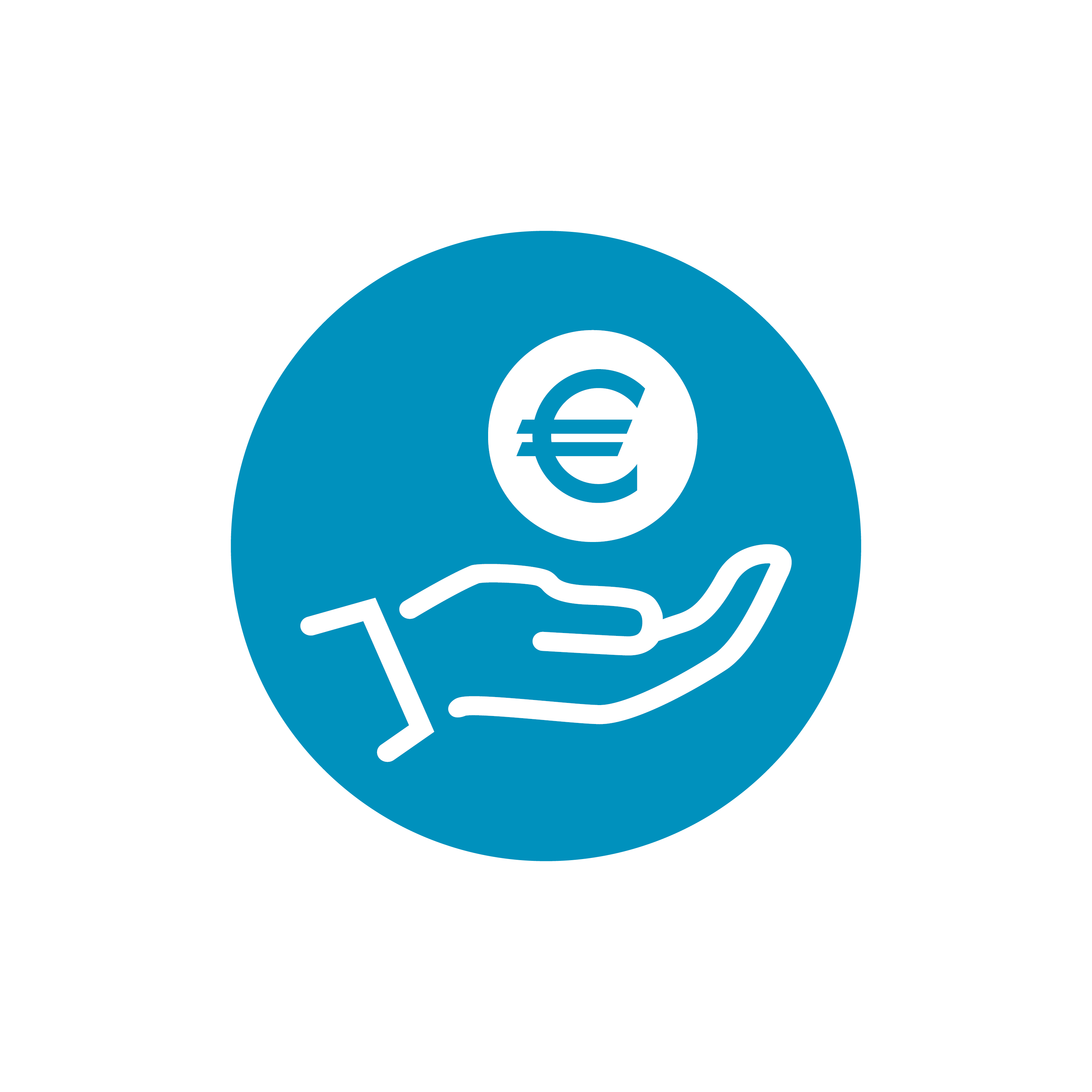 Erstattungsfähigkeit